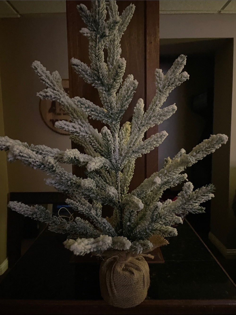 Pier 1 Flocked Green and White Mini Christmas Tree